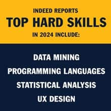 An infographic piece with the text: Indeed reports top hard skills in 2024 include: Data mining, Programming languages, Statistical analysis and UX design.