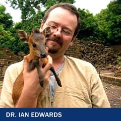 Dr. Ian Edwards, an anthropology adjunct at SNHU, holding a red-flanked duiker.