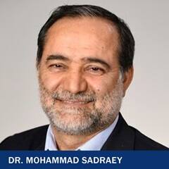 Dr. Mohammad H. Sadraey, a professor of aeronautical engineering at SNHU