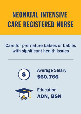 INFOGRAPHIC: Types Of Nurses, Job Descriptions & Salary | SNHU