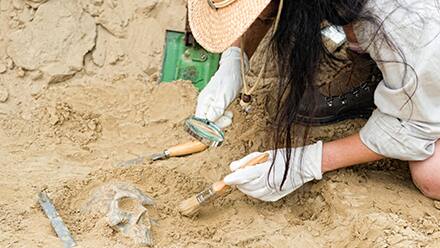 An archeologist uses tools to uncover skeletal remains at an excavation site