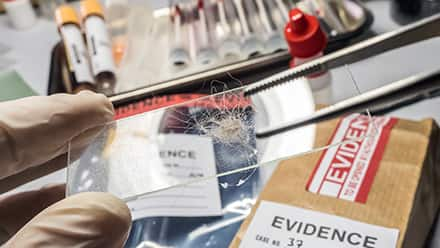 A crime scene investigator handling evidence in a laboratory 