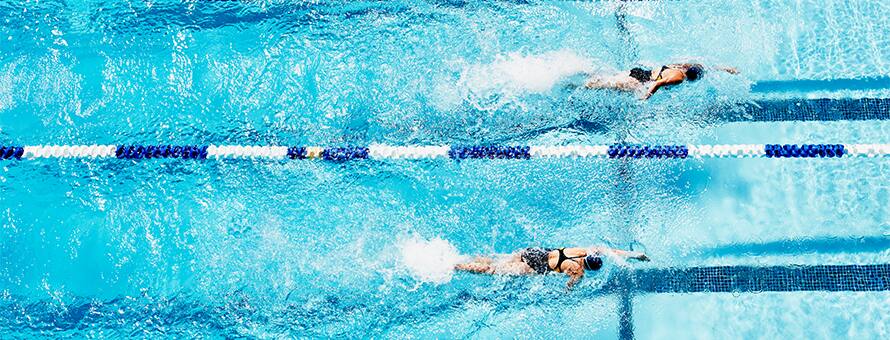 A swimming pool with multiple swimmers doing laps in their own lane